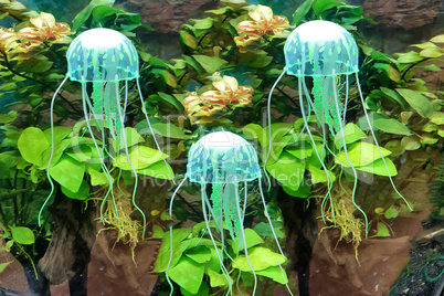 A group of glowing jellyfish