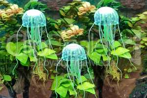 A group of glowing jellyfish