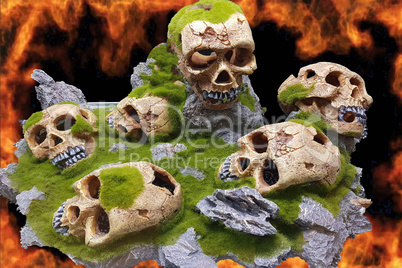 Skulls in front of the wall of fire