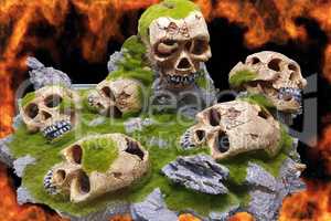 Skulls in front of the wall of fire