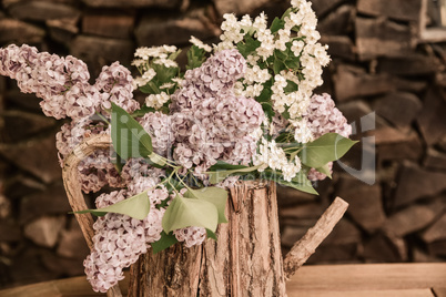 lila Flieder in einer Holzkanne Blumenstrauß