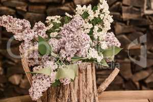 lila Flieder in einer Holzkanne Blumenstrauß