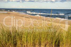 beach of the Baltic sea with beach grass