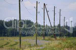 Power poles next to forest.