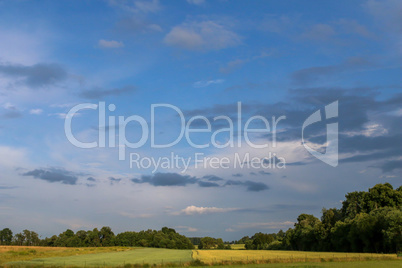 Summer landscape with field and blue sky.