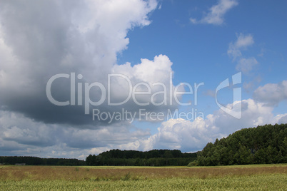 Summer landscape with field and blue sky.