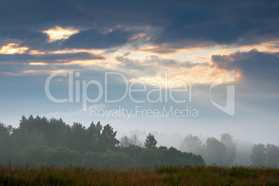 Landscape with mist on the field.