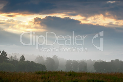 Landscape with mist on the field.