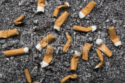 Cigarette butts