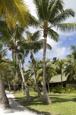 Tropical landscape at Praslin island, Seychelles