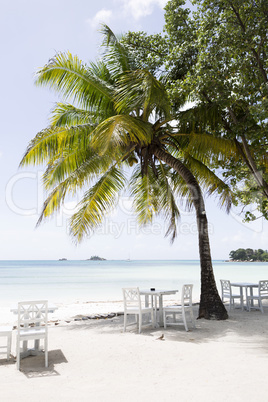 Tropical landscape at Praslin island, Seychelles