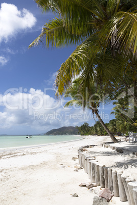 Tropical landscape at Praslin island, Seychelles