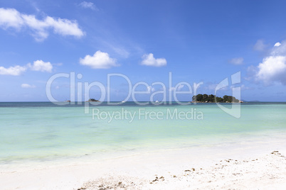 Tropical landscape at Praslin island, Seychelles