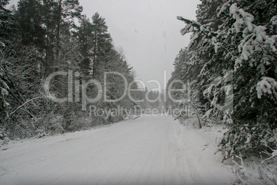 Beautiful winter landscape with snowy road in the winter forest.