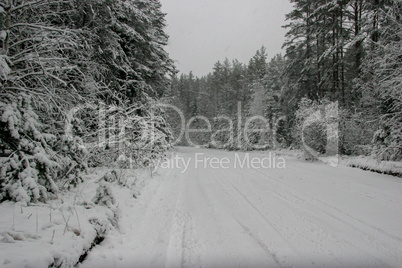 Beautiful winter landscape with snowy road in the winter forest.