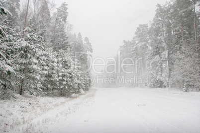 Beautiful winter landscape with snowy road in the winter forest.