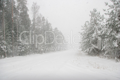 Beautiful winter landscape with snowy road in the winter forest.