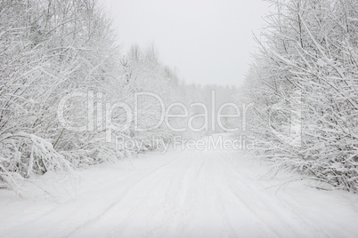 Beautiful winter landscape with snowy road in the winter forest.