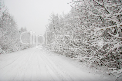 Beautiful winter landscape with snowy road in the winter forest.