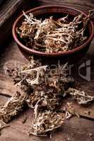 Dried Icelandic medicinal moss