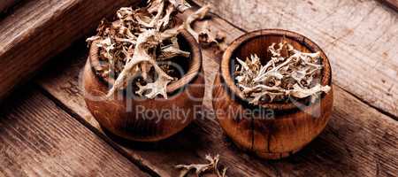 Dried Icelandic medicinal moss