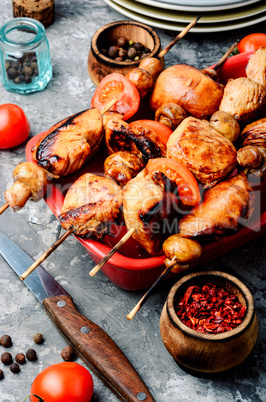 Skewers of chicken shish kebab