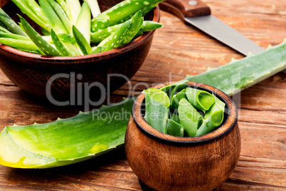 Cut aloe leaf