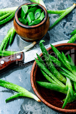 Cut aloe leaf