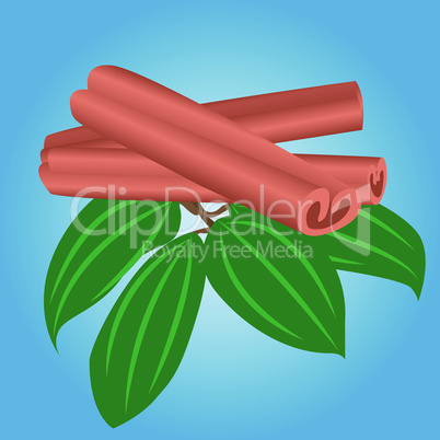Three cinnamon sticks and leaves vector illustration