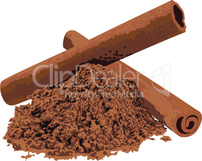 Cinnamon spice vector illustration