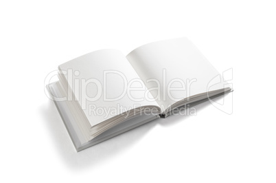 Isolated blank book