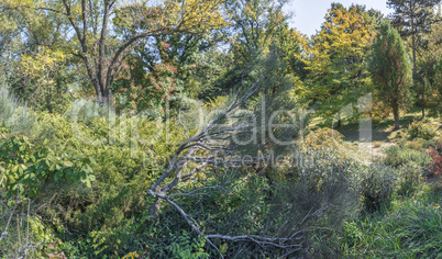 Old Botanical Garden in Odessa, Ukraine