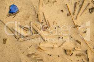 driftwood and plastic lid on a beach