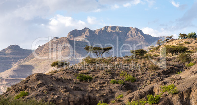 Landscape between Gheralta and Lalibela in Tigray, Northern Ethiopia, Africa