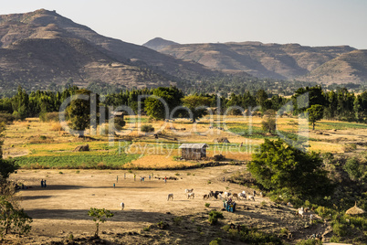 Landscape view near the Blue Nile falls, Tis-Isat, Ethiopia, Eastern Africa