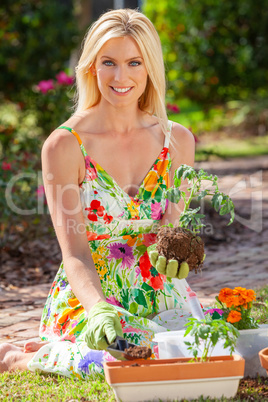 Woman Gardening Planting Flowers and Tomato Plants