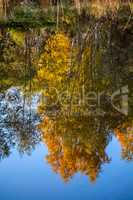 Autumn landscape with colorful trees and reflection in river.