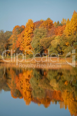 Autumn landscape with colorful trees and reflection in river.