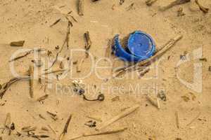 driftwood and plastic lid on a beach