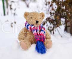 old teddy bear in a scarf sits on white snow