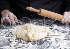 white wheat flour round dough