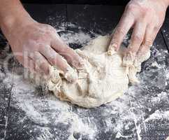 baker kneads white wheat flour dough