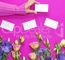 female hand in pink sweater holding a blank white paper business