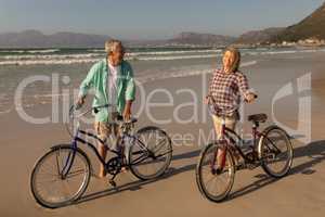 Senior couple standing with bicycle on the beach