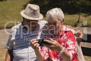 Front view of senior couple using mobile phone in garden