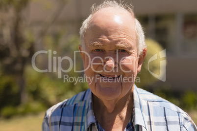 Close- up of senior man looking at camera in garden