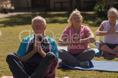 Senior people performing yoga in the park