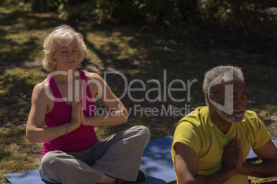 Senior people performing yoga in the park