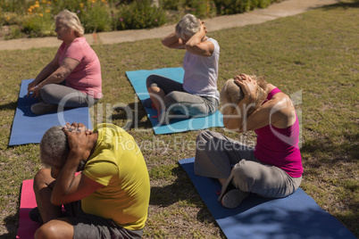 Senior people performing yoga in the park