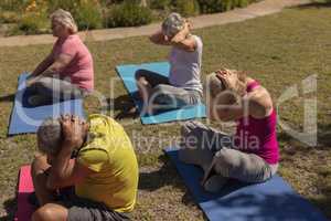 Senior people performing yoga in the park